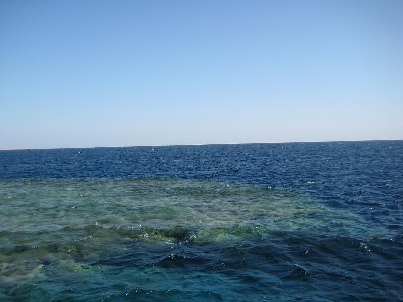 2009-12-04 10-15-26S.JPG